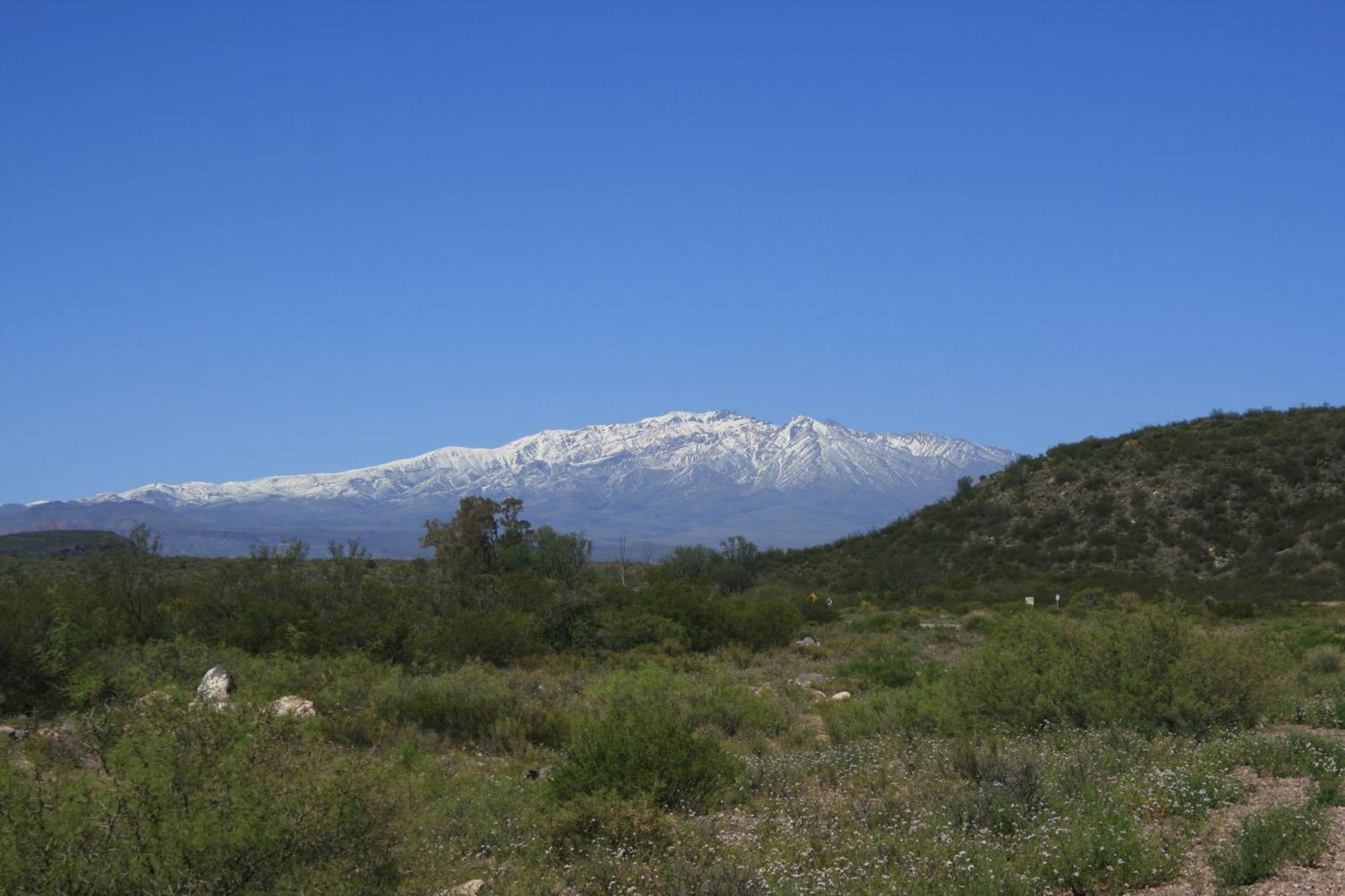 Finca La Celestita Colonia Alvear Esterno foto