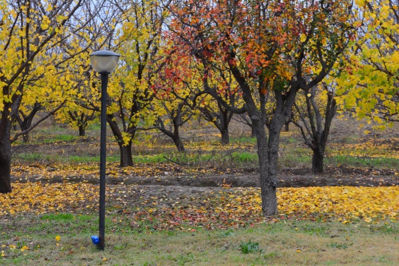 Finca La Celestita Colonia Alvear Esterno foto