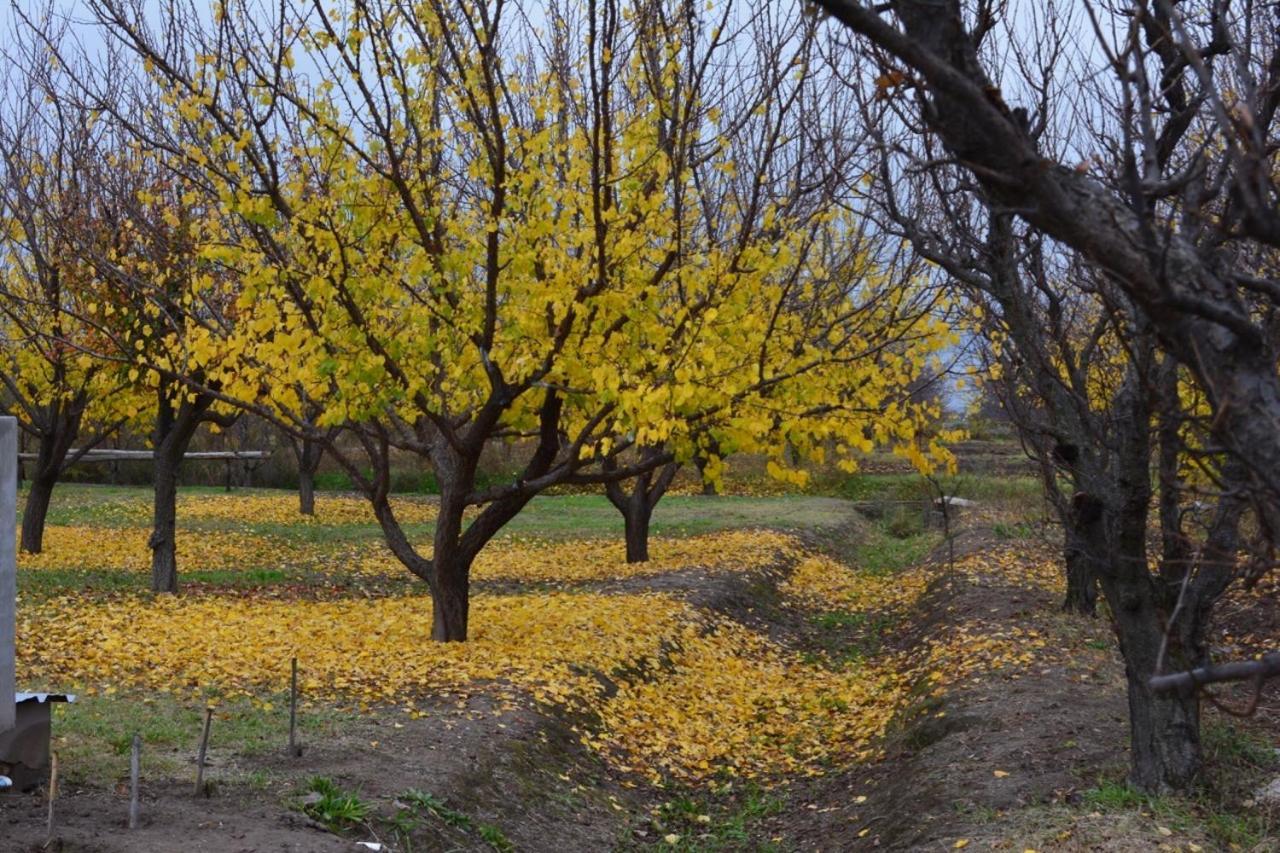 Finca La Celestita Colonia Alvear Esterno foto